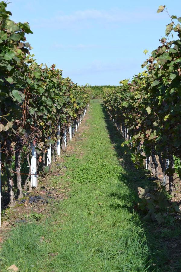 Zauber Der Pfalz Romerberg Zewnętrze zdjęcie